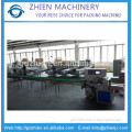 ZE-250X automatic Aluminum tube pipe bagging flow wrap packing machine